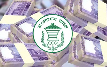 তিন মাসে আর্থিক প্রতিষ্ঠানের খেলাপি ঋণ কমেছে হাজার কোটি টাকা