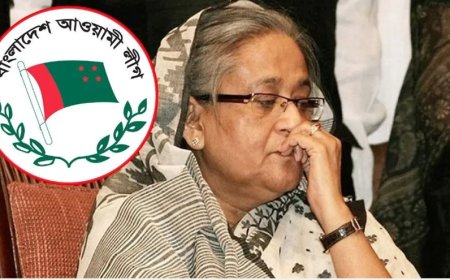 হাসিনাকে ক্ষমতা ছাড়তে নিষেধ করেছিলেন ৪ নেতা