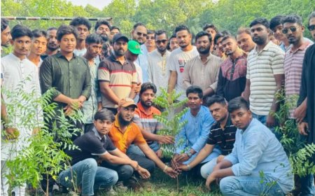 সাভারে ঢাকা জেলা উত্তর ছাত্রদলের বৃক্ষরোপণ কর্মসূচি