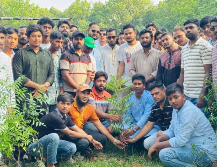 সাভারে ঢাকা জেলা উত্তর ছাত্রদলের বৃক্ষরোপণ কর্মসূচি