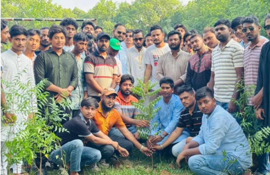 সাভারে ঢাকা জেলা উত্তর ছাত্রদলের বৃক্ষরোপণ কর্মসূচি
